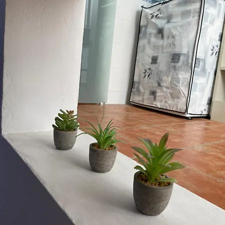 Casa Del Pez Vivienda A Pie De Calle En Agua Amarga A 250 Metros De La Playa Apartment *